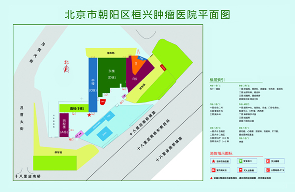 让人使劲日骚逼北京市朝阳区桓兴肿瘤医院平面图